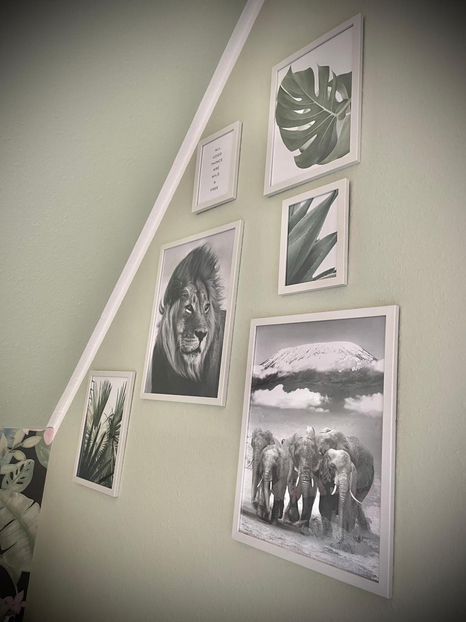 Casa Jungle Glanz Deluxe Daire Sigmaringen Dış mekan fotoğraf